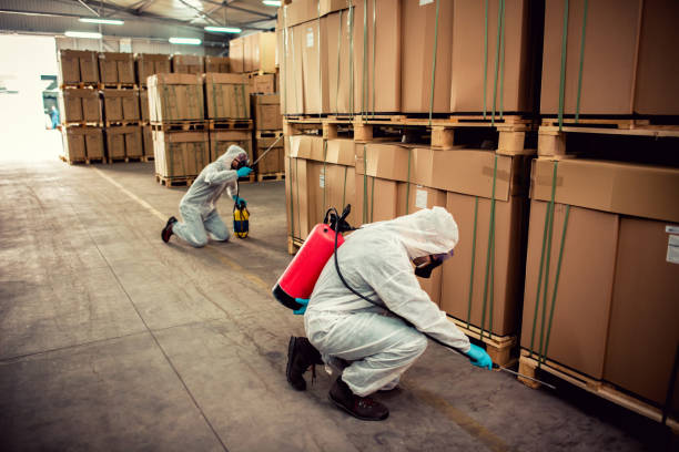 Best Pest Control for Homes  in Chinook, MT