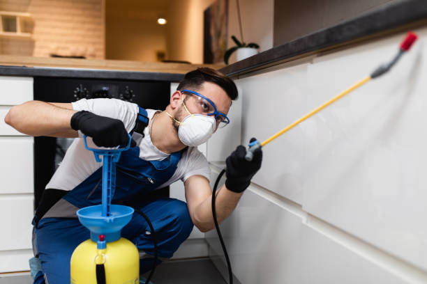 Best Emergency Pest Control  in Chinook, MT