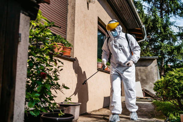 Best Pest Control for Restaurants  in Chinook, MT