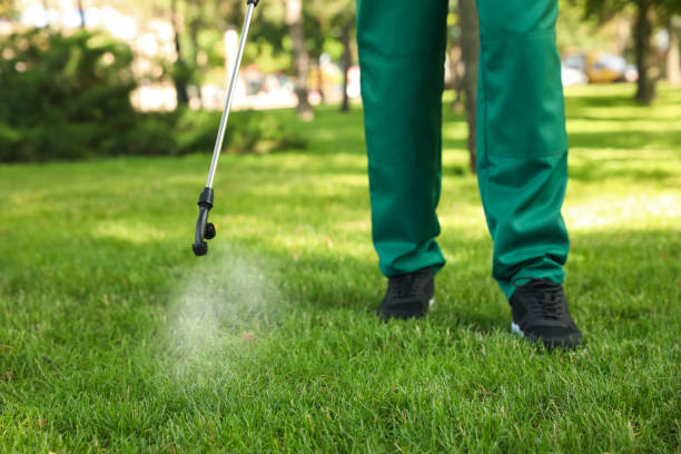 Best Flea Control Services  in Chinook, MT