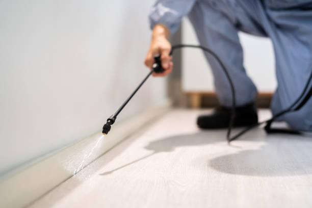 Best Pest Removal Services  in Chinook, MT