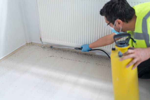 Best Mosquito Control Services  in Chinook, MT