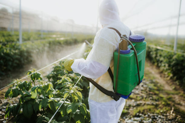 Best Pest Control Near Me  in Chinook, MT